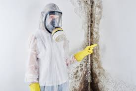 Best Asbestos and Lead Testing During Mold Inspection  in Monticello, UT